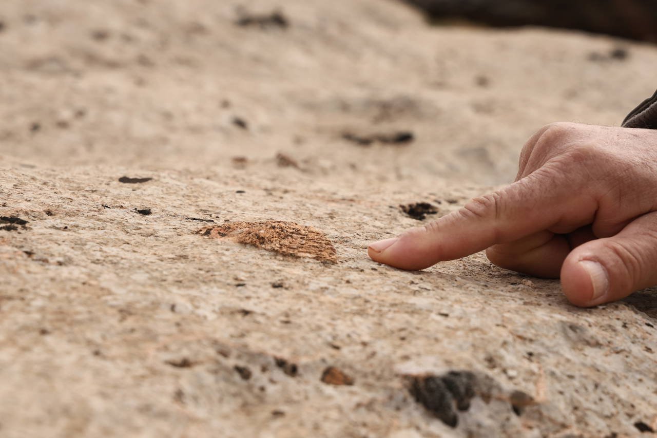 Tetis Havzası’ndan Günümüze Kapsamlı Jeolojik İnceleme: Kıyıdaş Bölgelerde Depremler ve Fosiller