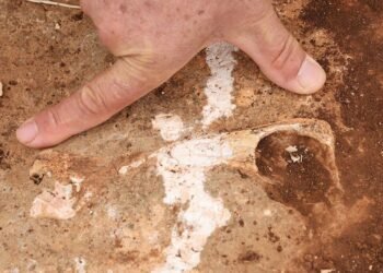 Tetis Havzası’ndan Günümüze Kapsamlı Jeolojik İnceleme: Kıyıdaş Bölgelerde Depremler ve Fosiller