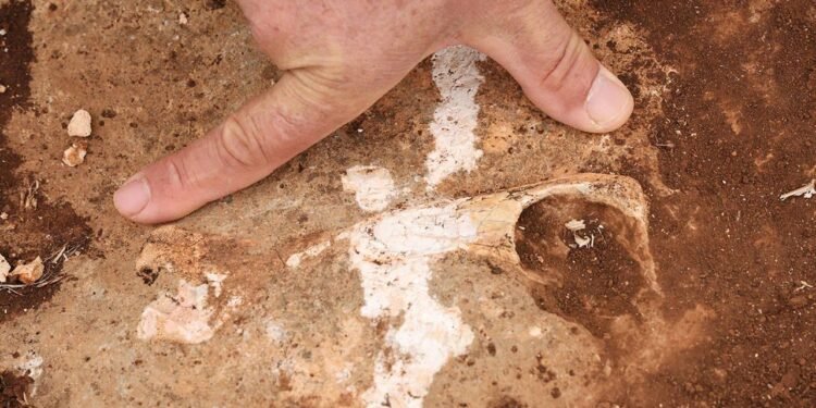 Tetis Havzası’ndan Günümüze Kapsamlı Jeolojik İnceleme: Kıyıdaş Bölgelerde Depremler ve Fosiller