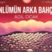 Gönlümün Arka Bahçesi: Adil Ocak’ın İçsel Manzaraları ve Zamanla Dansı