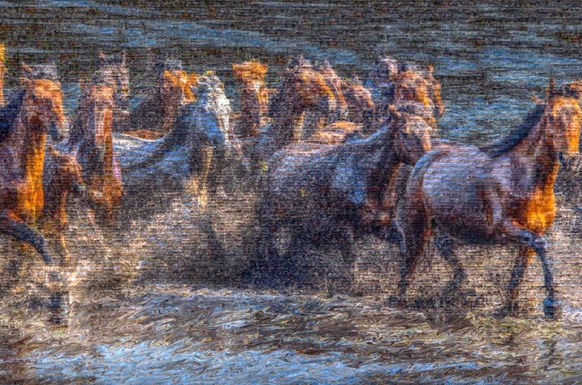 Vahşi ve Özgür: At Fotoğrafında Mozaist Tekniğin Zaman ve Hareketle Dansı