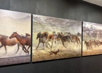 Vahşi ve Özgür: At Fotoğrafında Mozaist Tekniğin Zaman ve Hareketle Dansı