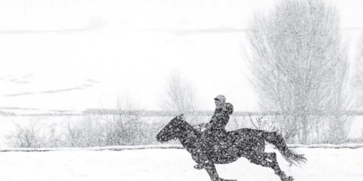 Kar: Bir Hikâye İçin Görsel Bir Zaman Dondurma