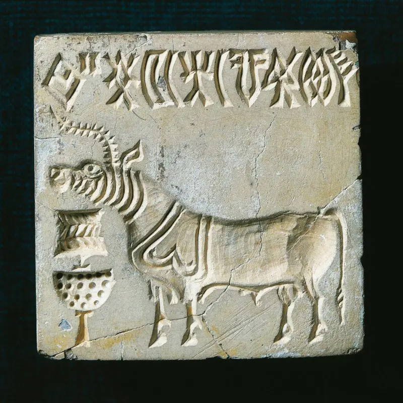 İndus Vadisi’nin Şehirleri ve Şifreli Yazının Sırları: Antik Uygarlıkta Bize Dalan Geriye Dönük İzler