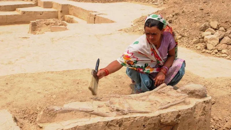 İndus Vadisi’nin Şehirleri ve Şifreli Yazının Sırları: Antik Uygarlıkta Bize Dalan Geriye Dönük İzler