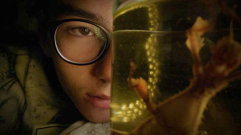 Uluslararası Yarışma ve Altın İskender Onur Ödülleri: Belgesellerin Öyküsü, Jüri ve Öne Çıkan Filmler