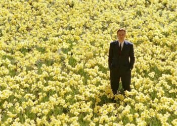 İlham Veren Sinema Yolculuğu: Modern Kısa Başarı Öyküleri