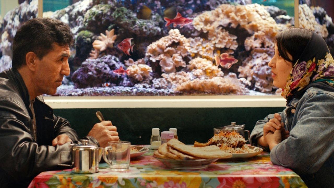 İstanbul Film Festivali’nde Öne Çıkan Türk ve Yabancı Yapımlar: Çevre, Kent ve Toplumsal Sıradışı Temalar