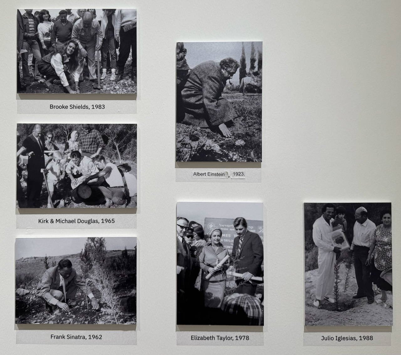 Kuşbakışı Filistin: Bakışın Siyaseti ve Direnişin Gölgeleri