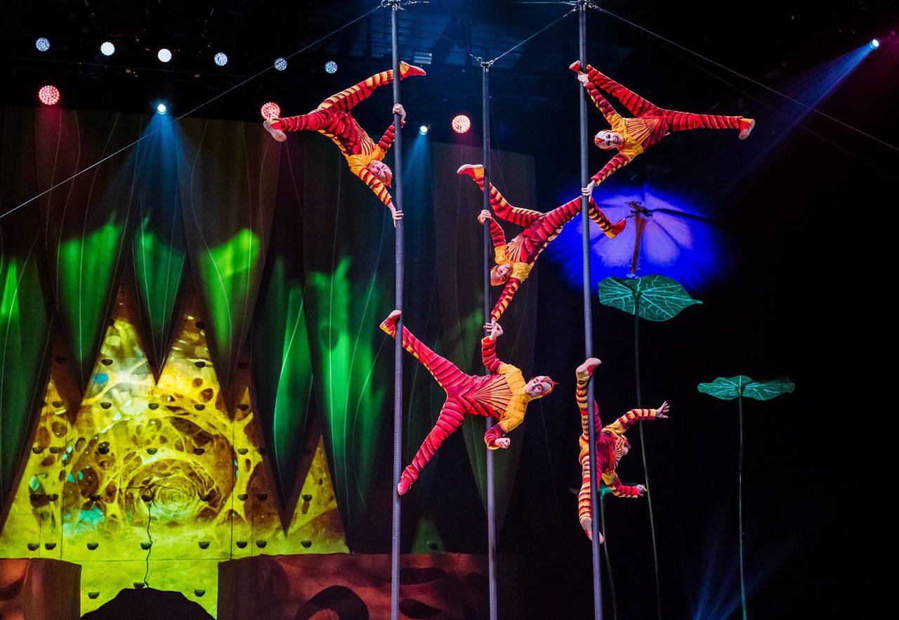 OVO ile Cirque du Soleil İstanbul’da Doğanın Dönüşüm Ritmi