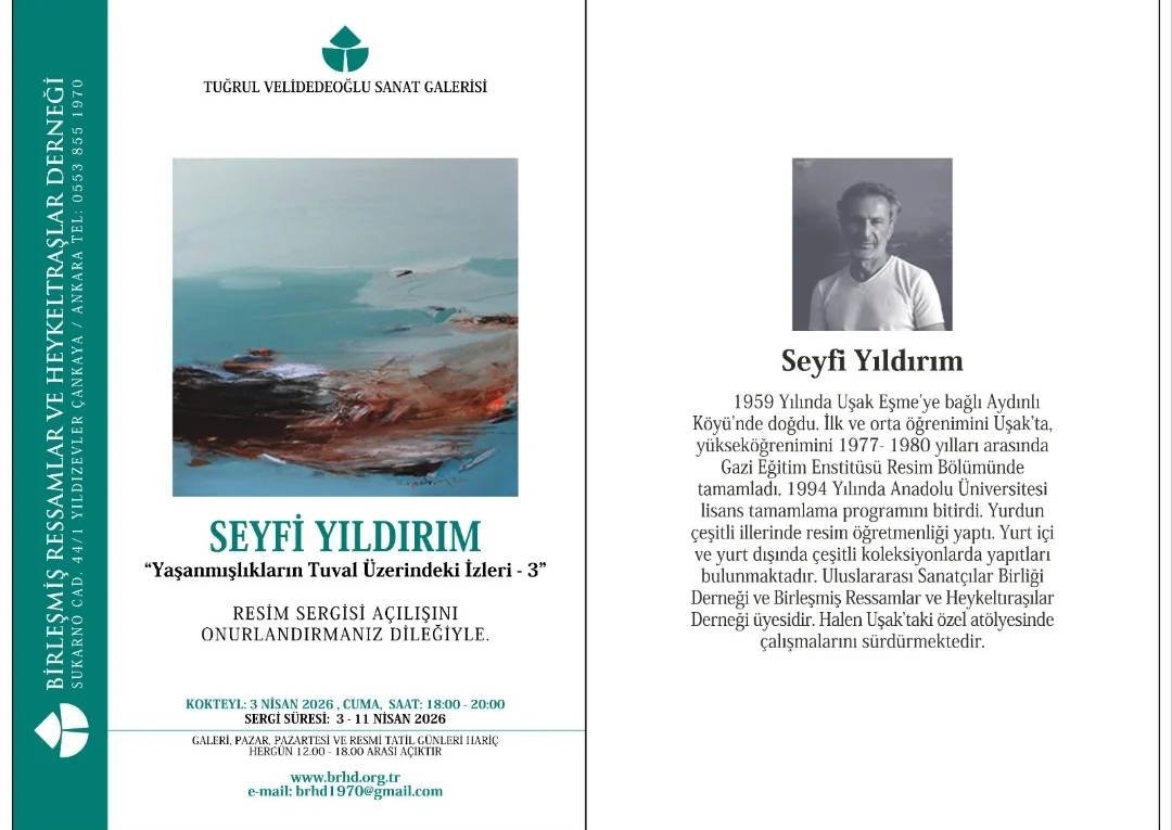 Yaşanmışlıkların Tuvali: Seyfi Yıldırım’ın Doğa İçin Soyut Bir Yolculuğu